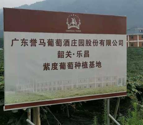 葡萄酒冷卻系統